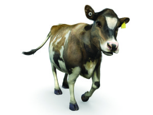 Rosie the cow – the New Zealand dairy industry’s new “cowbassador”.