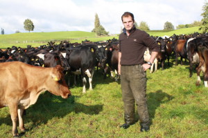 Thomas White has managed herds of 600 cows.