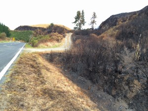 A total of 5.5 hectares of scrubland was burned in last Wednesday's fire along SH30, south of Te Kuiti