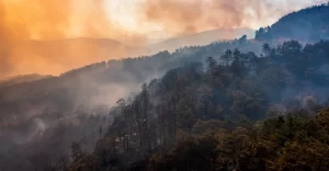 Tongariro Park.Phot Courtesy