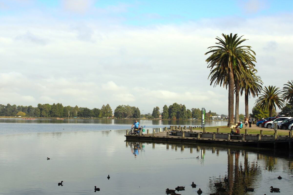 “Discover the Tranquil Charm of Lake Rotoroa: Hamilton’s Scenic Retreat for Families and Nature Lovers”