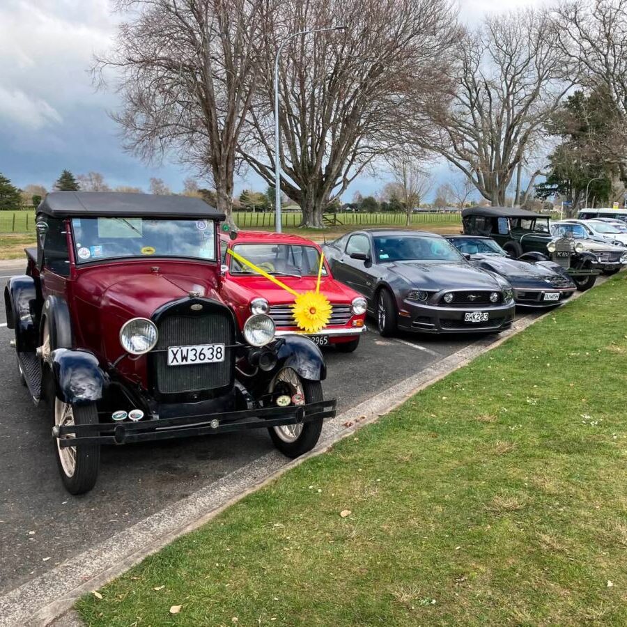 Vintage cars rally for Cancer Society
