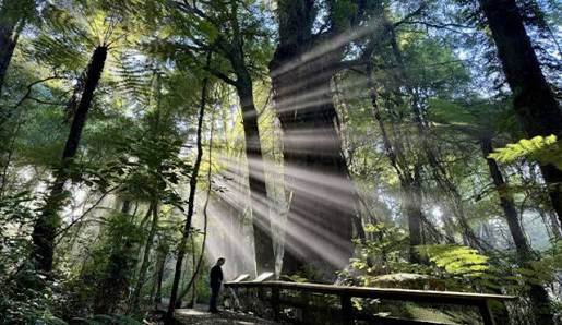 Sanctuary Mountain on high alert