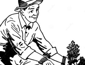 man garden 2